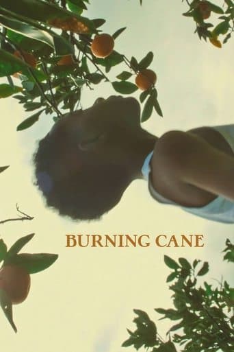 Movie poster for Burning Cane