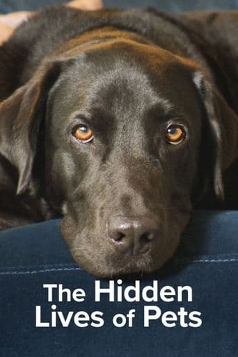 Movie poster for The Secret Life of Our Pets