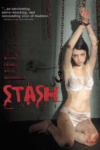 Movie poster for Stash