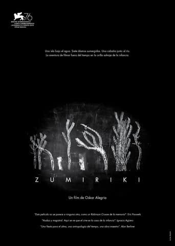 Movie poster for Zumiriki