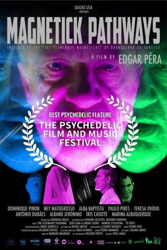 Movie poster for Magnetick Pathways