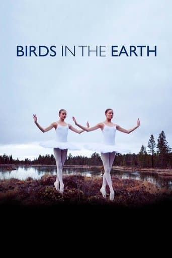 Movie poster for Birds in the Earth