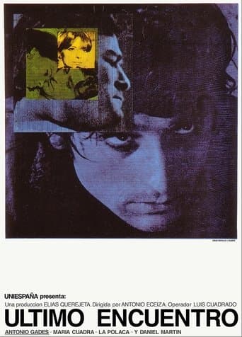 Movie poster for The Last Meeting