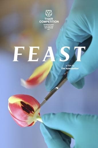 Movie poster for Feast