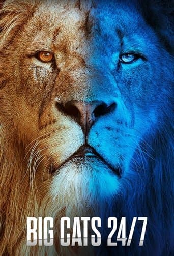 Movie poster for Big Cats 24/7