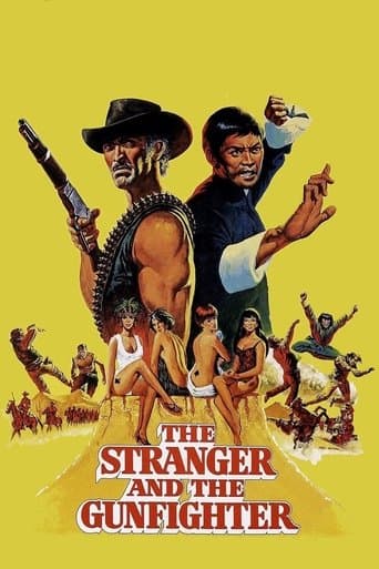 Movie poster for The Stranger and the Gunfighter