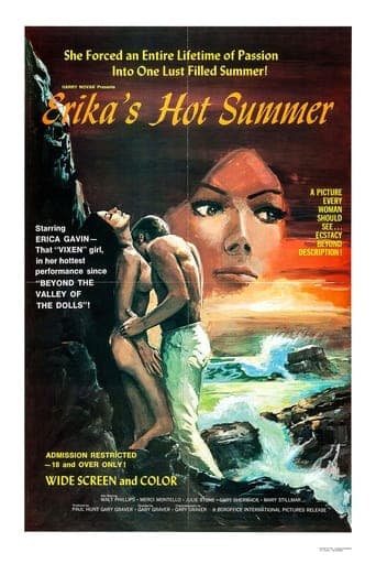 Movie poster for Erika's Hot Summer
