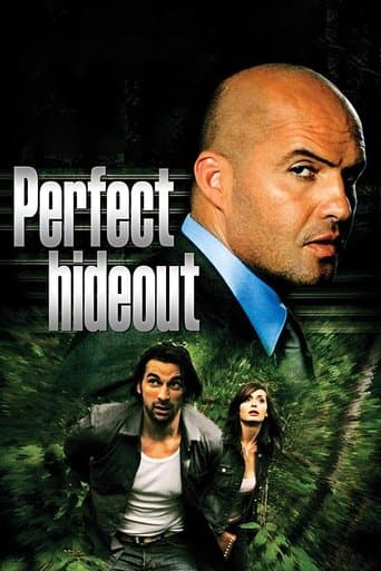 Movie poster for Perfect Hideout