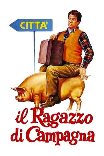 Movie poster for Il ragazzo di campagna