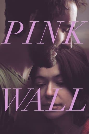 Movie poster for Pink Wall