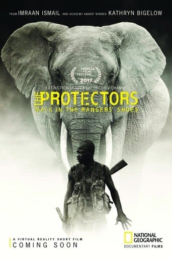 Movie poster for The Protectors