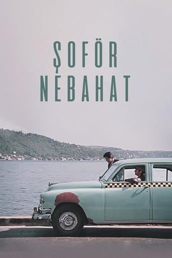 Movie poster for Nebahat The Driver