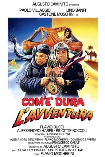 Movie poster for How Long Is the Adventure