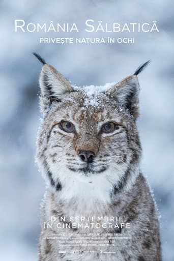 Movie poster for Wild Romania