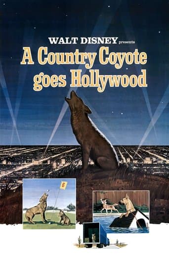 Movie poster for A Country Coyote Goes Hollywood