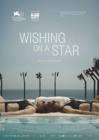 Movie poster for Wishing on a Star