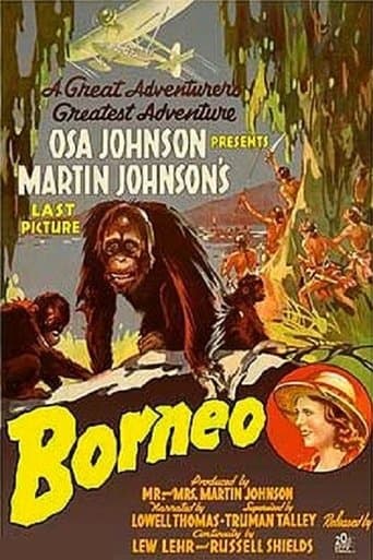 Movie poster for Borneo