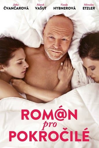 Movie poster for Román pro pokročilé