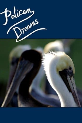 Movie poster for Pelican Dreams