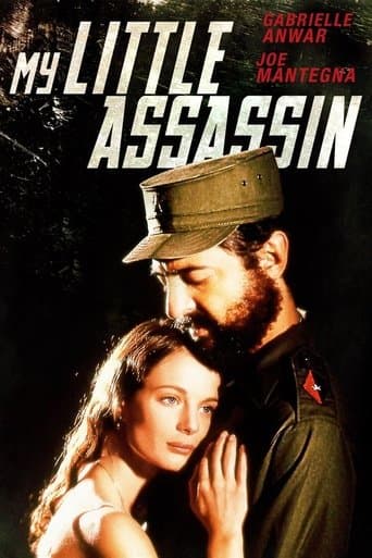 Movie poster for My Little Assassin