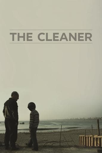 Movie poster for The Cleaner