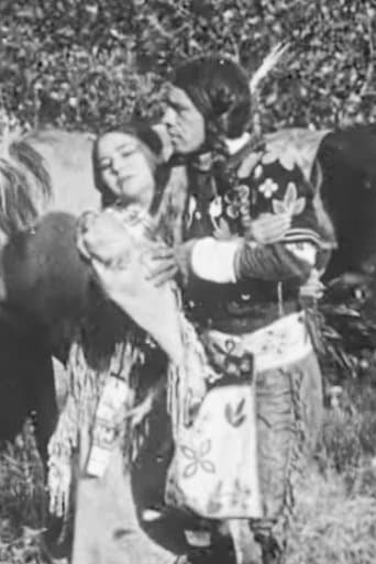Movie poster for The Cheyenne's Bride