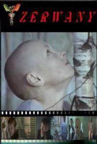 Movie poster for Torn