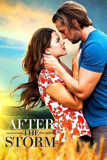 Movie poster for After the Storm