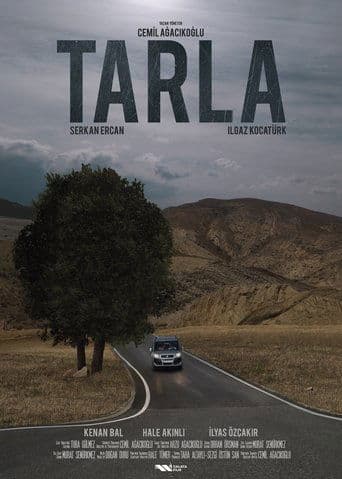 Movie poster for The Field