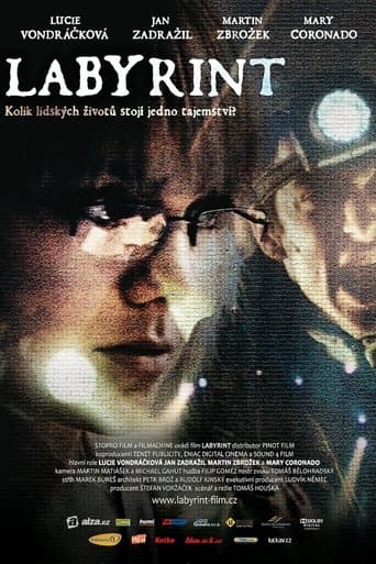 Movie poster for Labyrinth