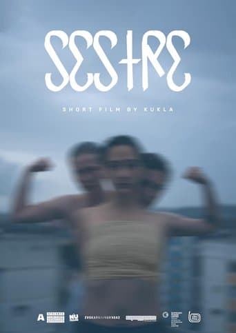 Movie poster for Sisters