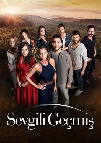 Movie poster for Sevgili Geçmiş