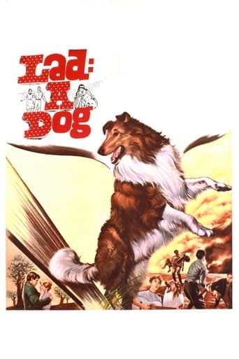 Movie poster for Lad: A Dog