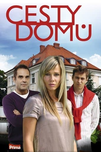 Movie poster for Cesty domů