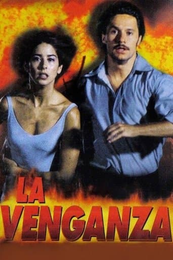Movie poster for The Revenge