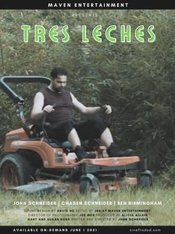 Movie poster for Tres Leches