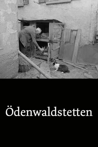 Movie poster for Ödenwaldstetten