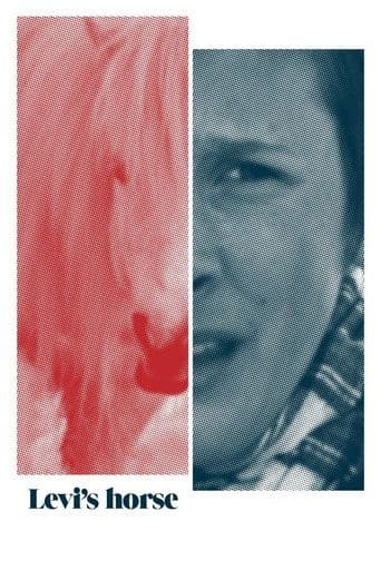 Movie poster for Levi's horse
