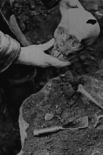 Movie poster for Story of the Unknown Soldier