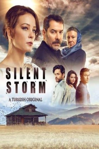Movie poster for Swallow Storm
