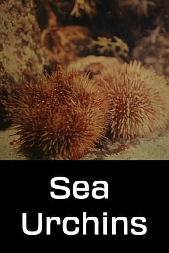 Movie poster for Sea Urchins
