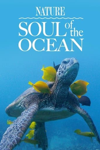 Movie poster for Soul of the Ocean