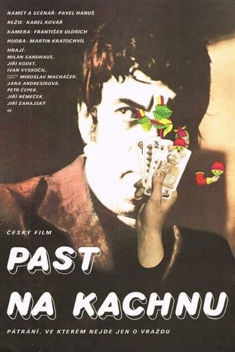 Movie poster for Past na kachnu