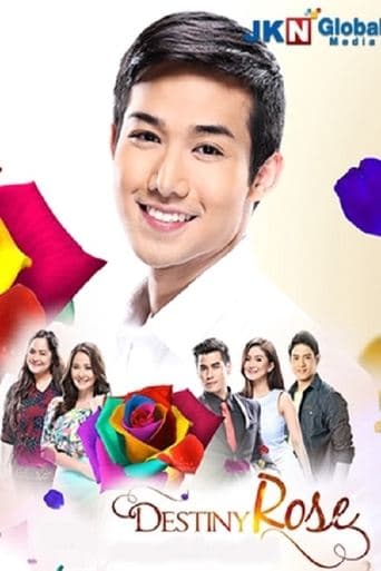 Movie poster for Destiny Rose