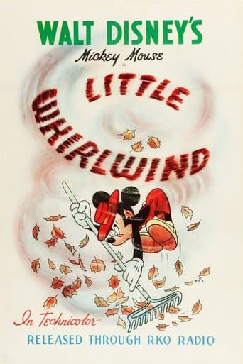 Movie poster for The Little Whirlwind