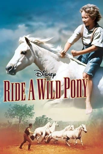 Movie poster for Ride a Wild Pony