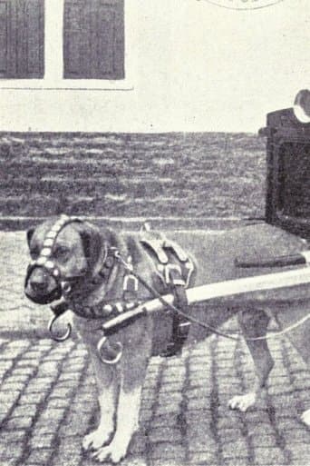 Movie poster for The Unwilling Draught Dog