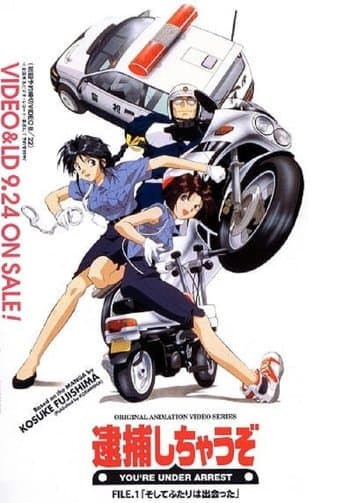 Movie poster for You're Under Arrest