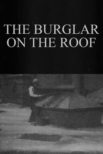 Movie poster for The Burglar on the Roof