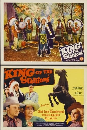 Movie poster for King of the Stallions
